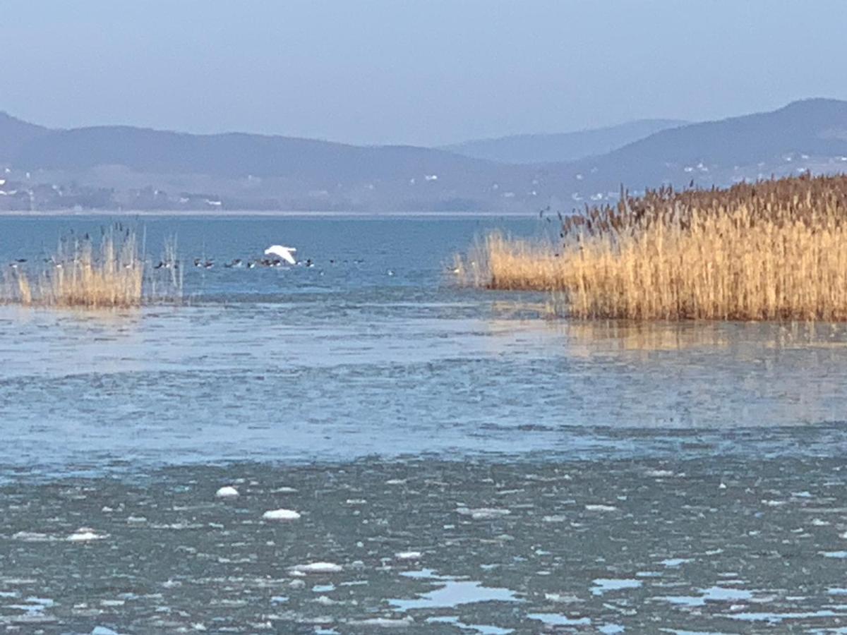 Topart Apartman I Balatonfenyves Exterior foto