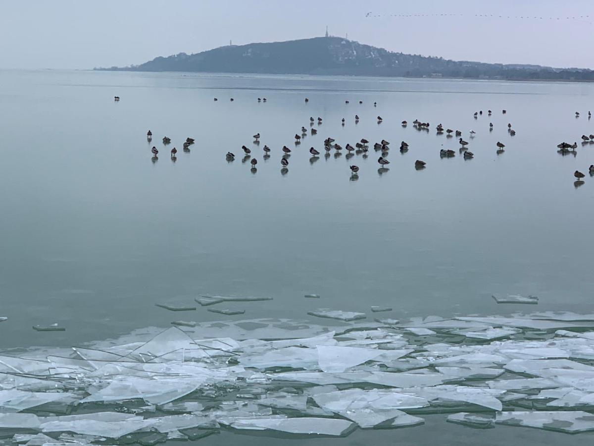 Topart Apartman I Balatonfenyves Exterior foto